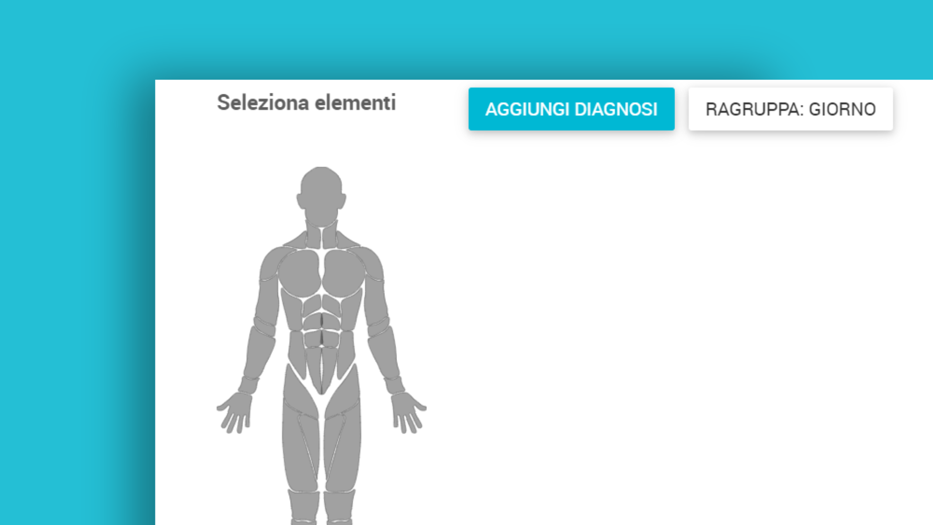 Body chart